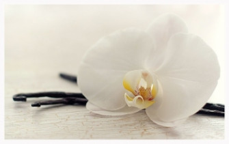 Орхидея и ваниль, отдушка, 10гр